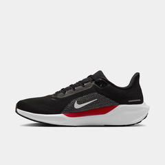 Atlanta Falcons Pegasus 41