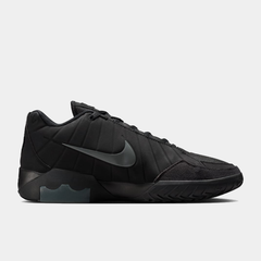 LeBron Witness IX