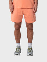 Don't Waste Culture Carl Shorts | Salmon