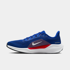 Buffalo Bills Pegasus 41