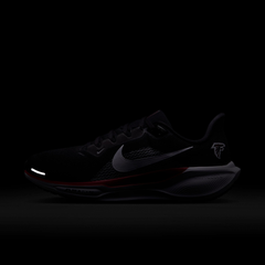 Atlanta Falcons Pegasus 41