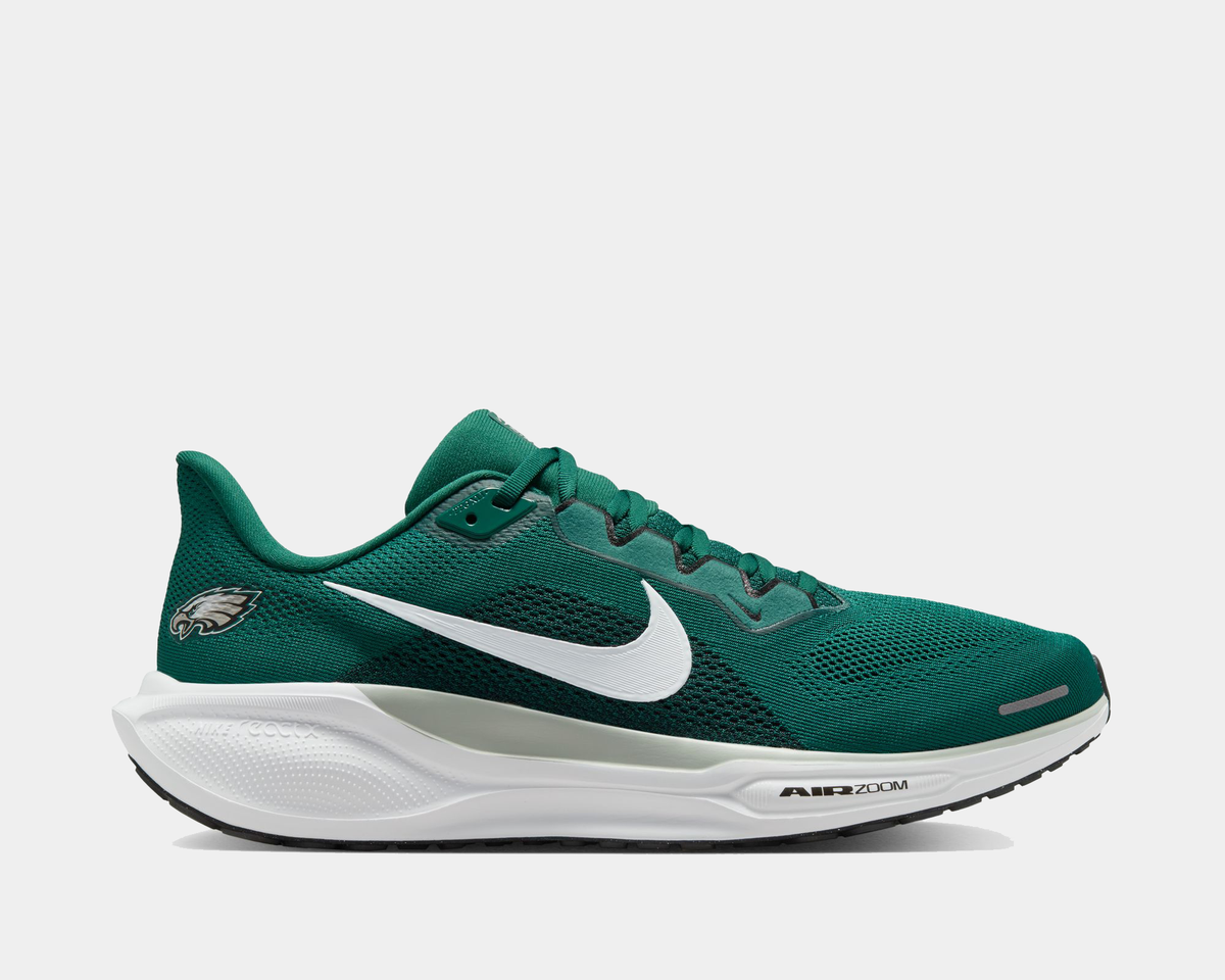 Philadelphia Eagles Pegasus 41