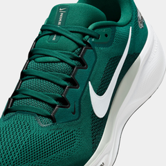 Philadelphia Eagles Pegasus 41
