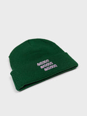 Bisous Skateboards X3 Beanie | Forest Green