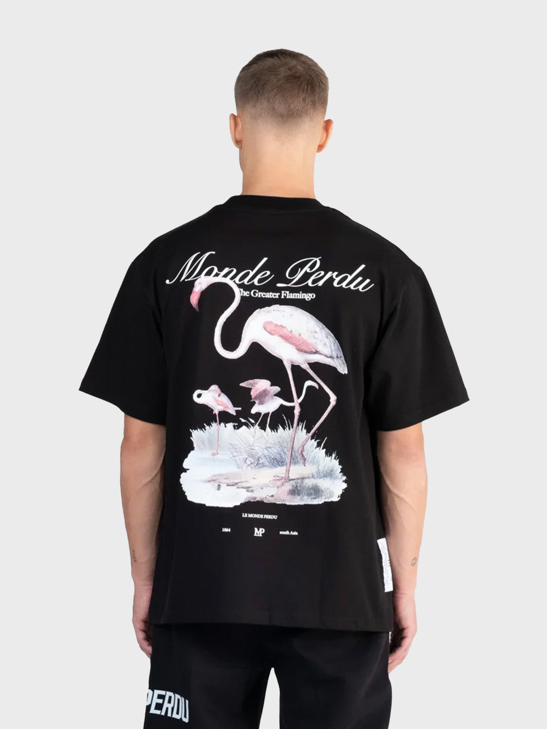 Le Monde Perdu Greater Flamingo T-Shirt | Black