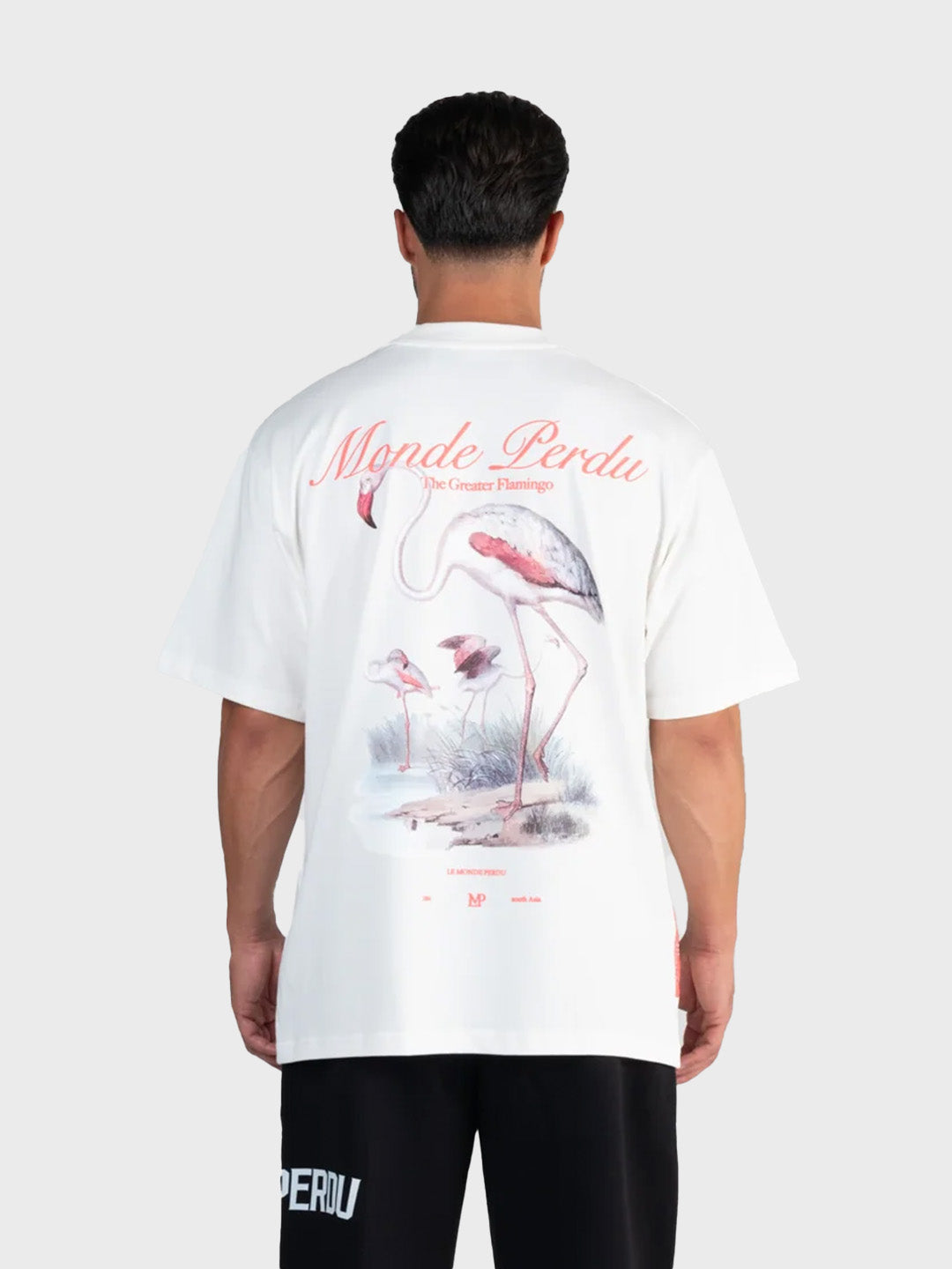 Le Monde Perdu Greater Flamingo T-Shirt | Ecru