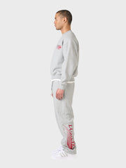 Lumi3re Solutions Tracksuit | Grey