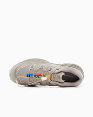 Salomon Advanced XT-6
